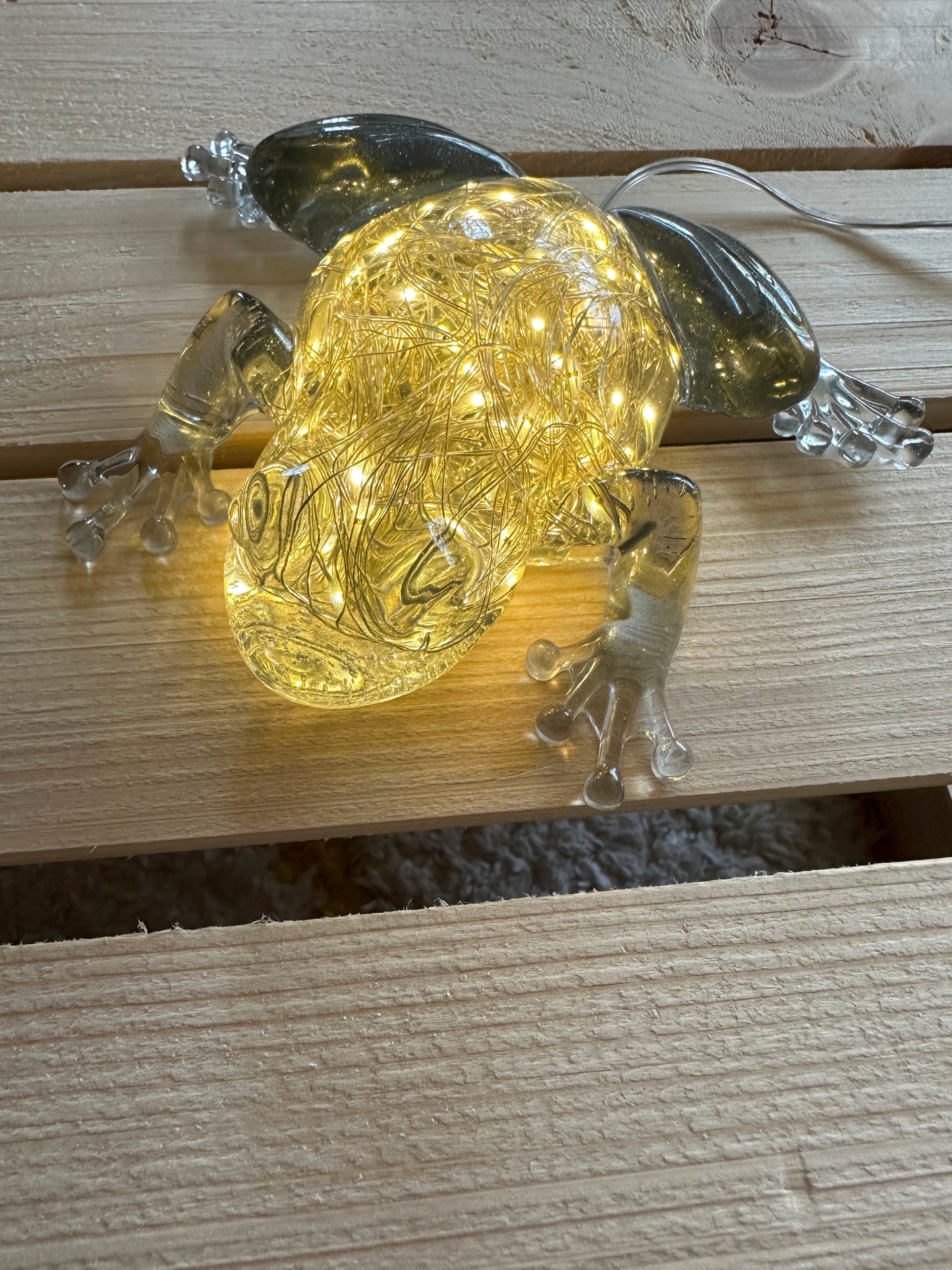 Frog lamp